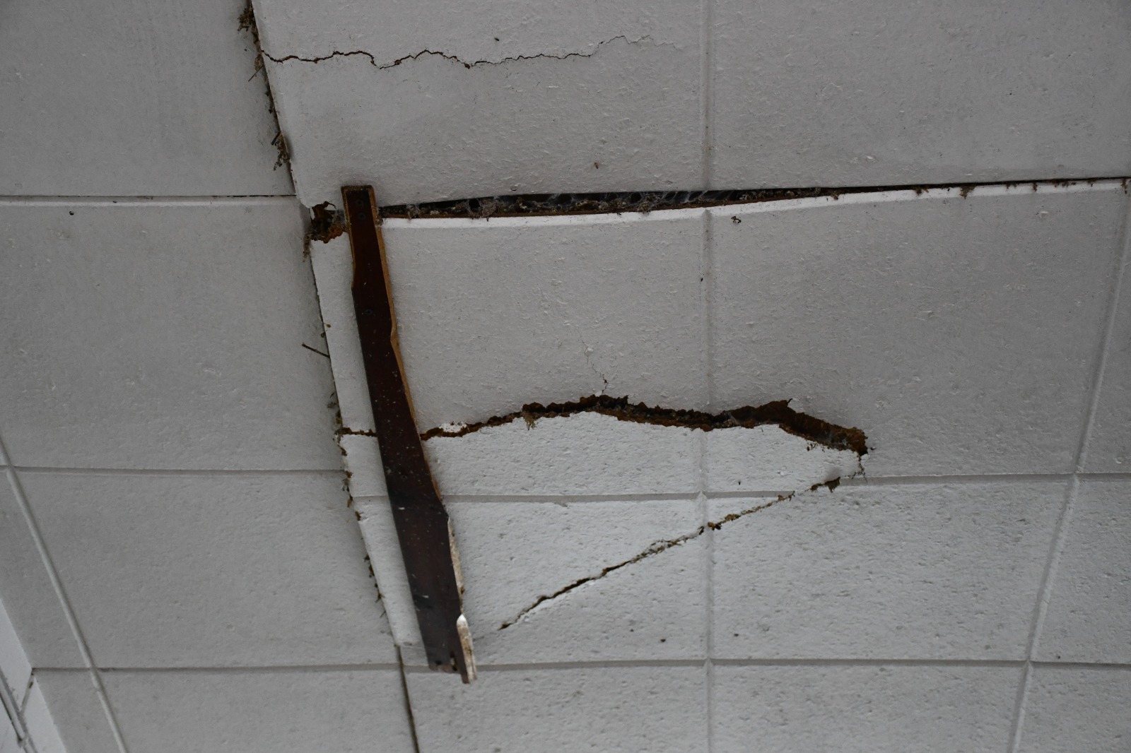 WhatsApp Image 2020-02-10 at 11.22.40 AM.jpeg.jpeg